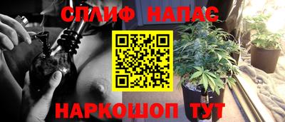 сатива Ливны