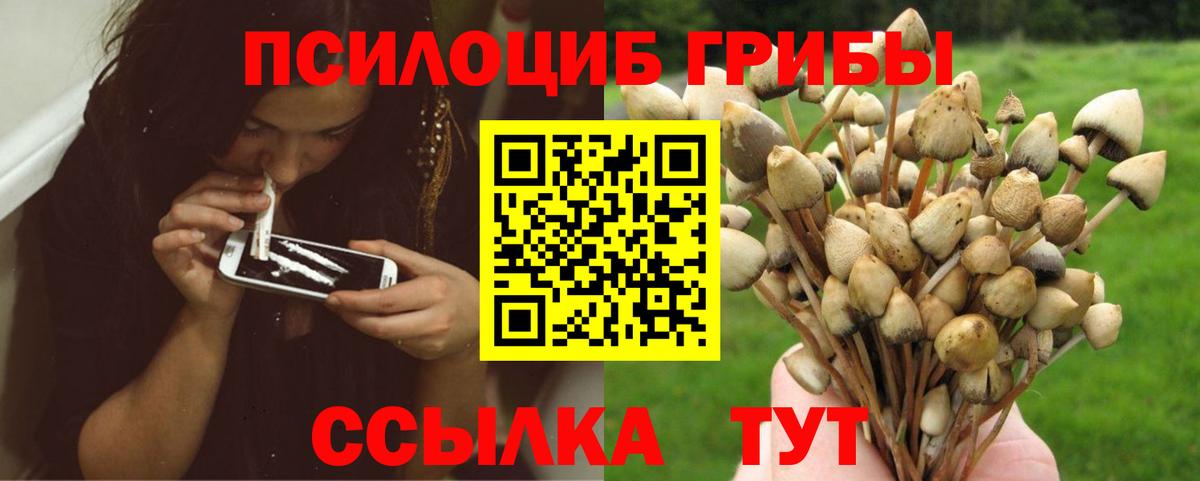 Псилоцибиновые грибы ЛСД  Вход с VPN  Галлюциногенные грибы прущие грибы  Семилуки 